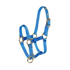 Hamilton Large Miniature Horse Halter