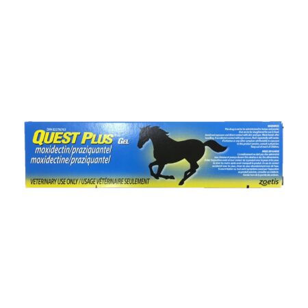 Quest Plus