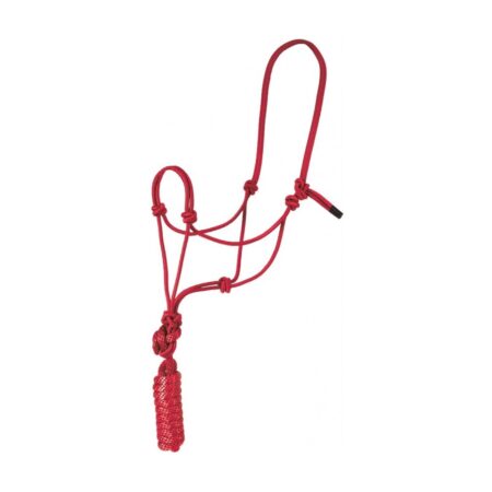Mustang Economy Mountain Rope Halter with Lead