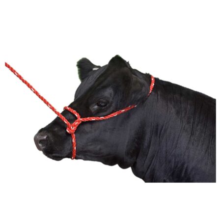 Poly Rope Halters - Cattle - 10'