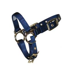 Hamilton Sheep Halter