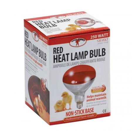 Brooder Lamp Heat Bulb