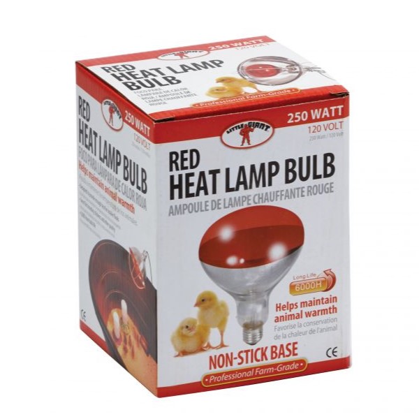 Brooder Lamp Heat Bulb
