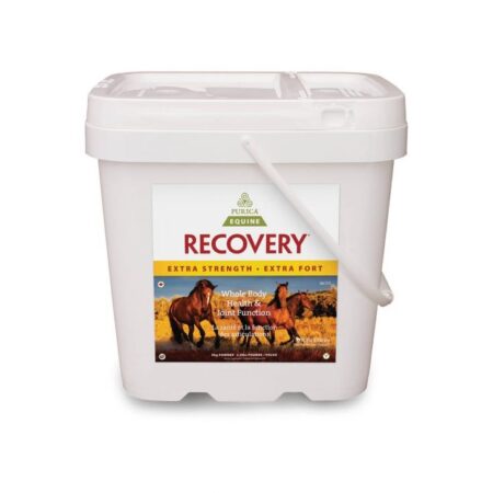 Recovery EQ Extra Strength