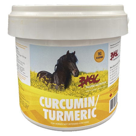 Curcumin/Turmeric