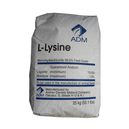 Lysine