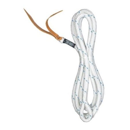 12' Loop Lead