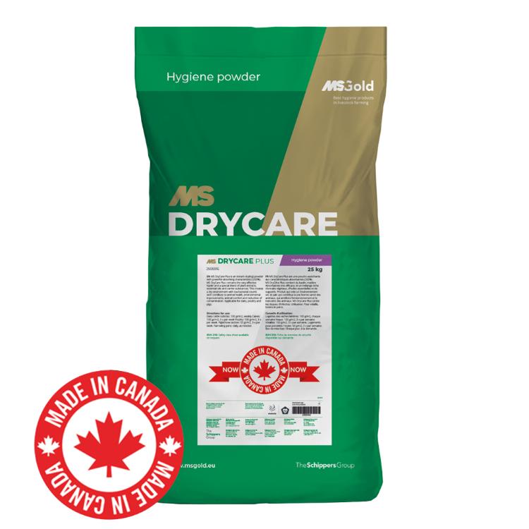 MS DryCare Plus