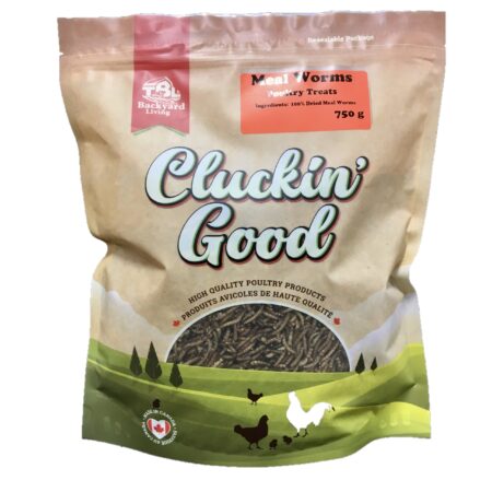 Cluckin' Good Meal Worms