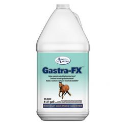 Gastra-FX