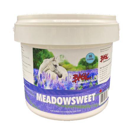Meadowsweet