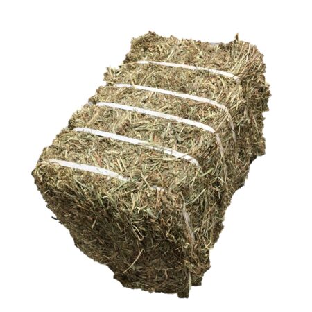 Compressed Hay Bales