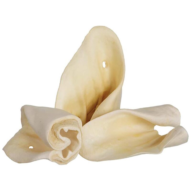 Large Cow Ears