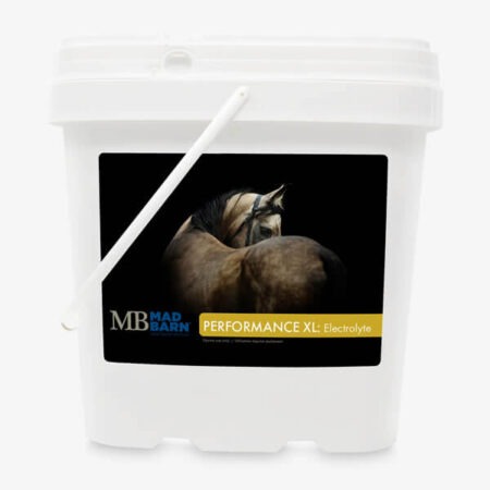 Mad Barn Performance XL Electrolyte