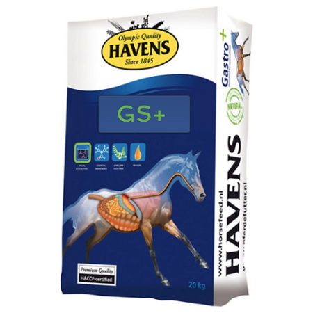 Havens GS+