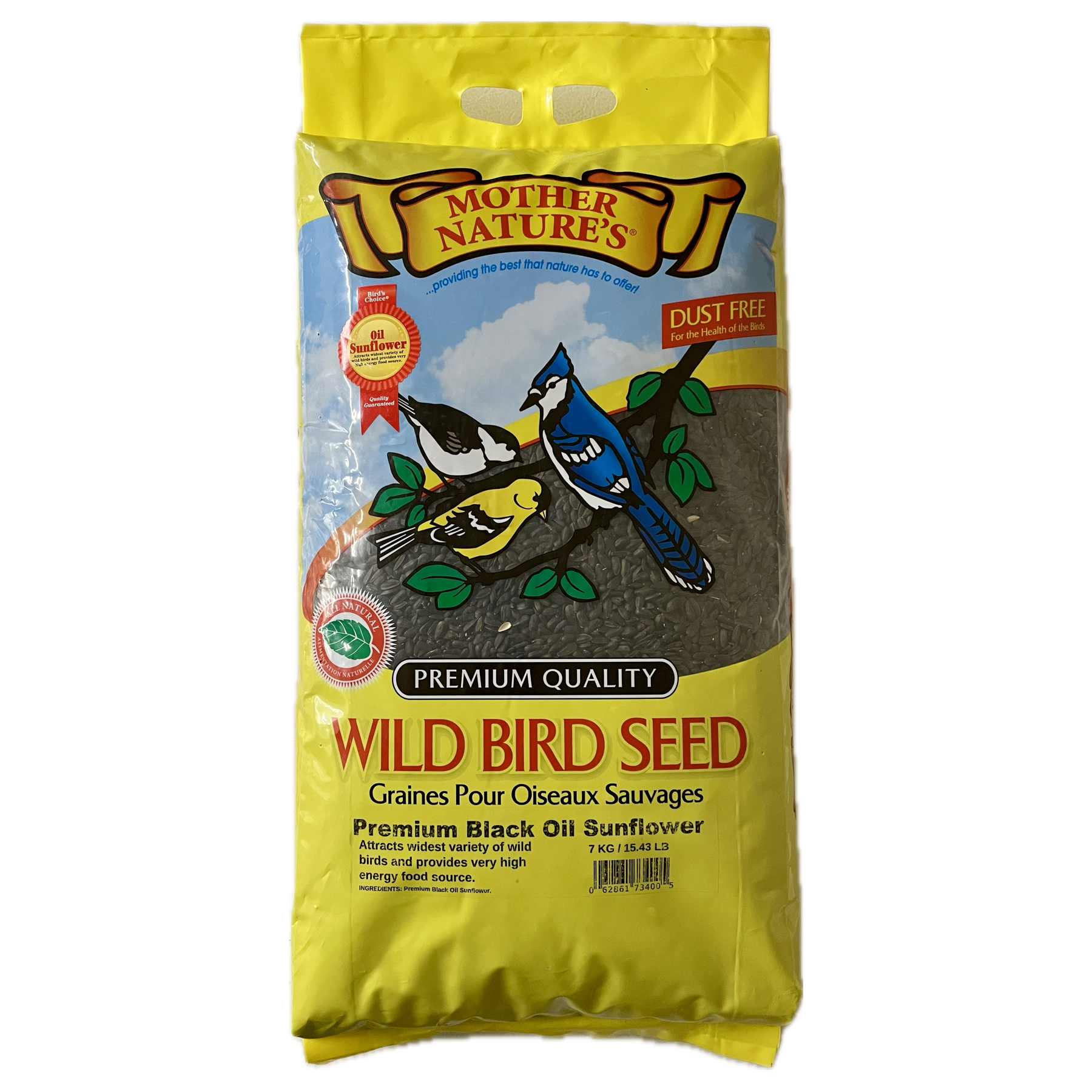 Premium Black Oil Sunflower Seeds