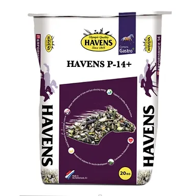 Havens P-14+