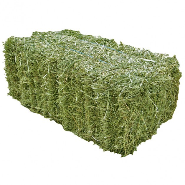 Large Square Hay Bales