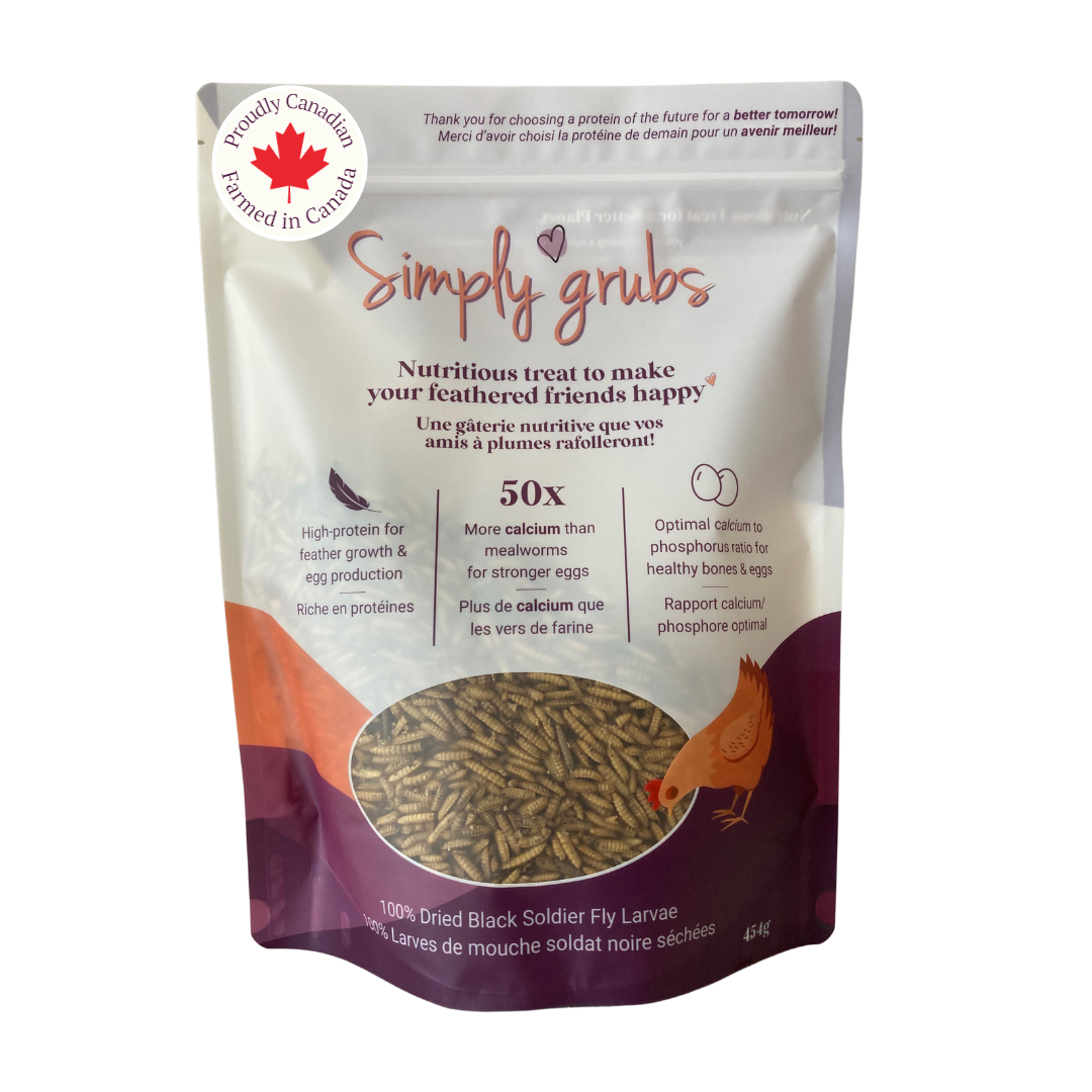 Simply Grubs - Black Soldier Fly Larvae
